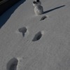 ゆきだるま