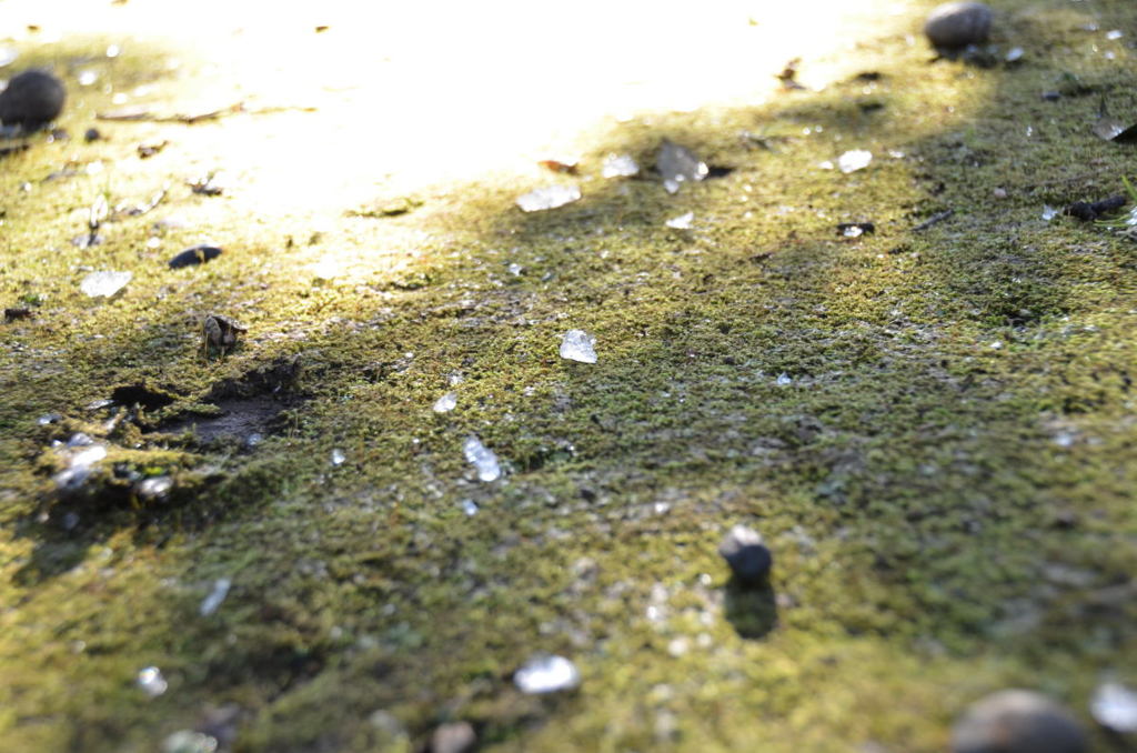 twinkle of snow