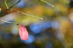 花見川のほとりで