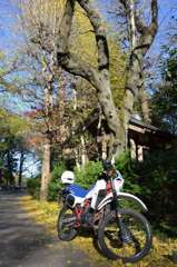 花見川のほとりで