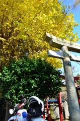 花見川のほとりで