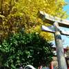 花見川のほとりで