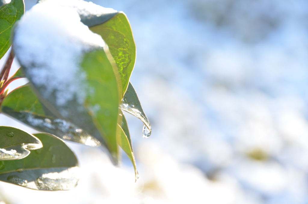 twinkle of snow