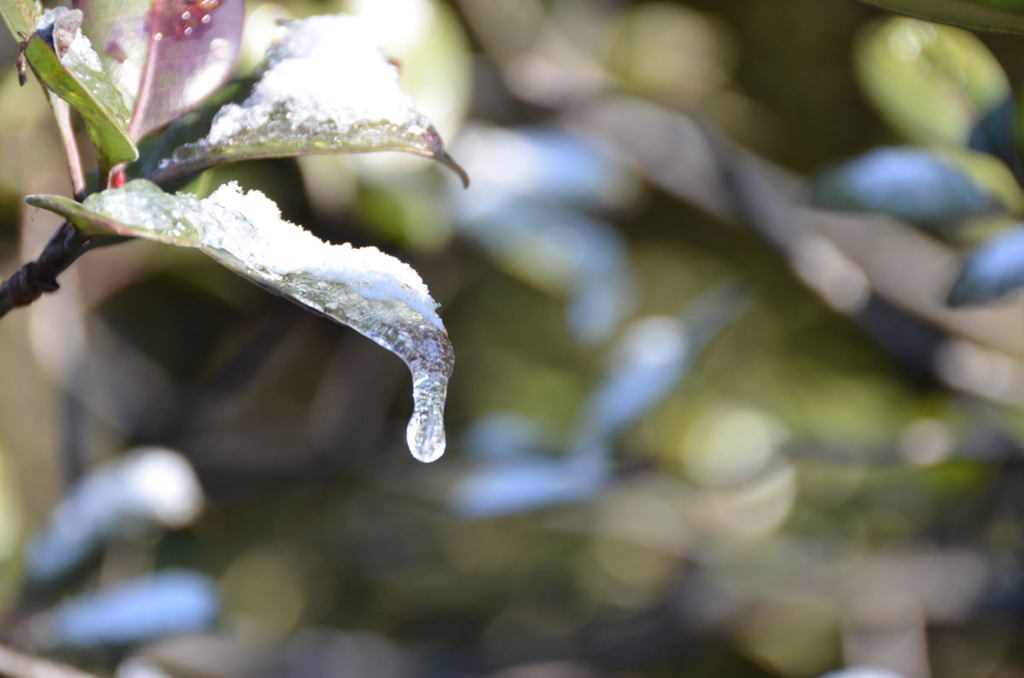 twinkle of snow