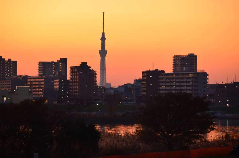 夕焼け