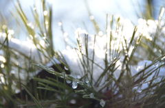 twinkle of snow