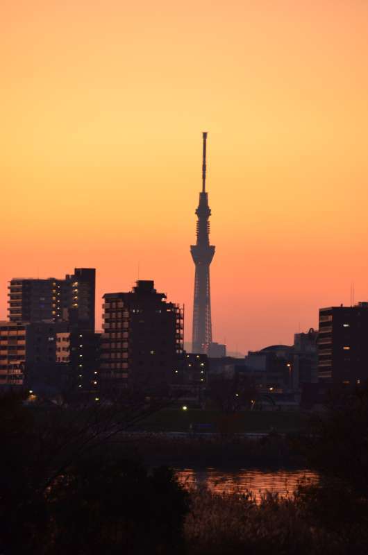 夕焼け