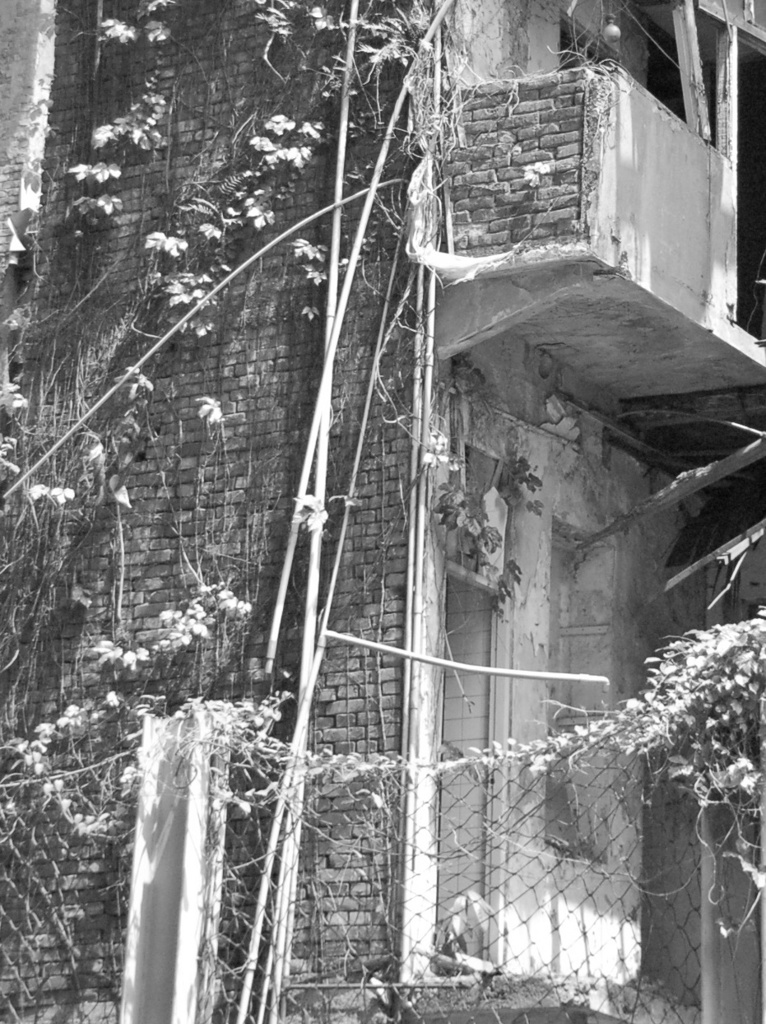 この建物廃墟につき・・・