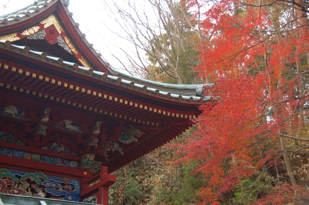明るいレンズが欲しい