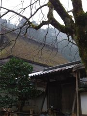 雨に煙る