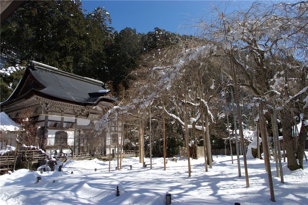 常照皇寺・冬