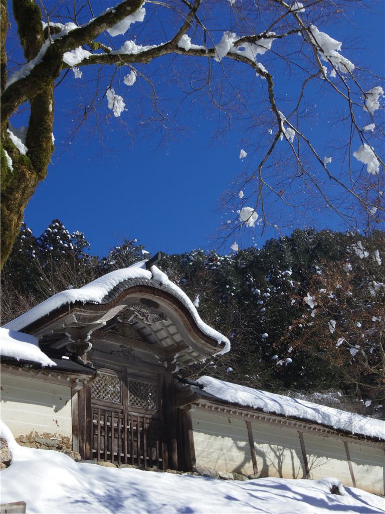 雪降りて後