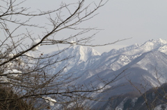 冬山景色