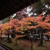 紅　葉