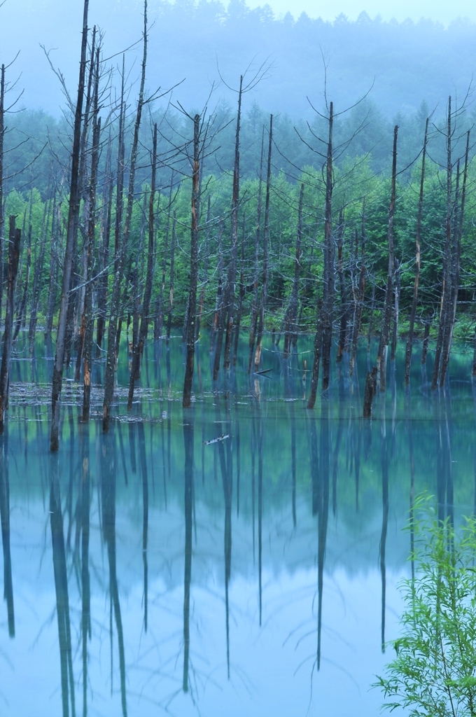 雨の一休み