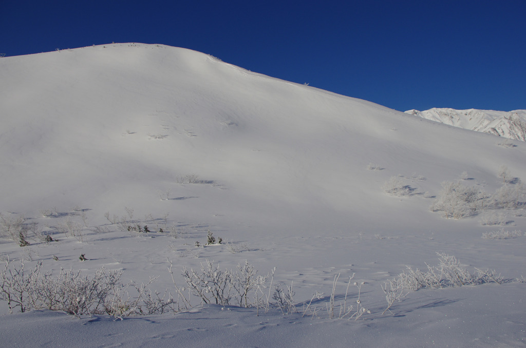 白きたおやかな丘
