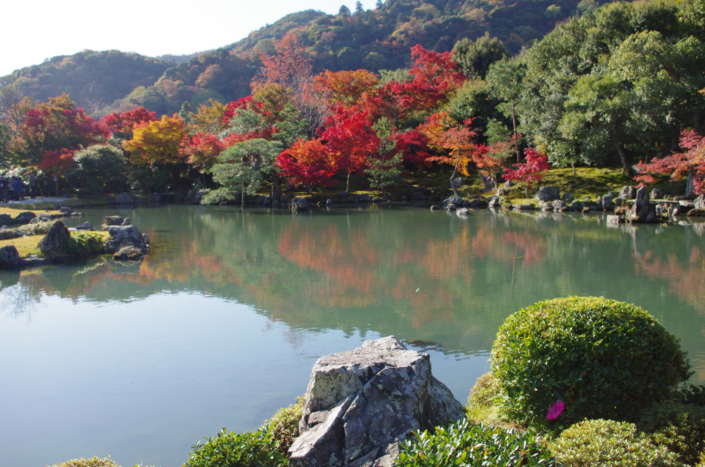 庭園の秋