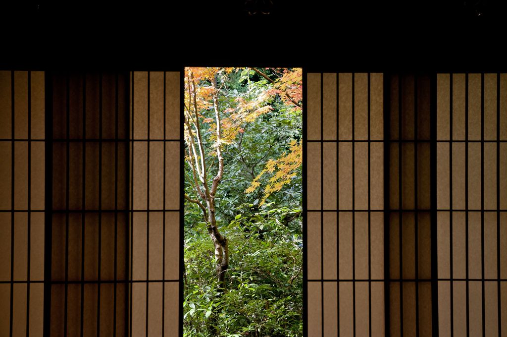 高桐院２