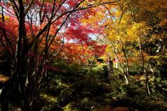 常寂光寺１