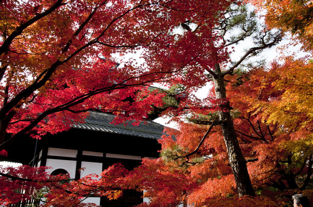 東福寺