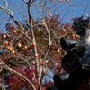 常寂光寺２