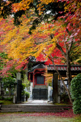 東福寺　即宗院