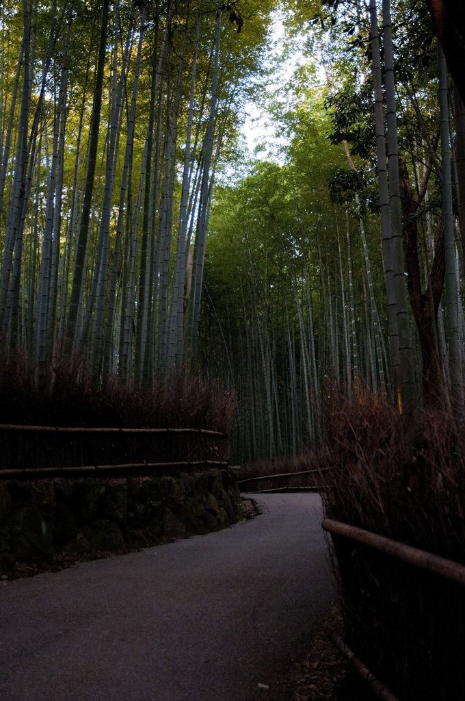 嵯峨野