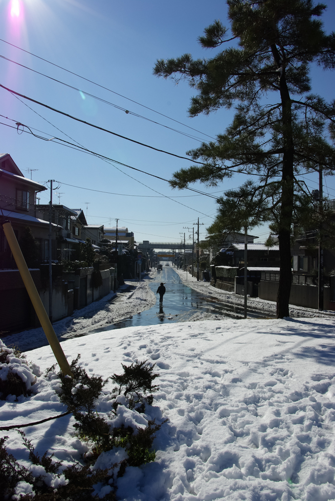 雪景色