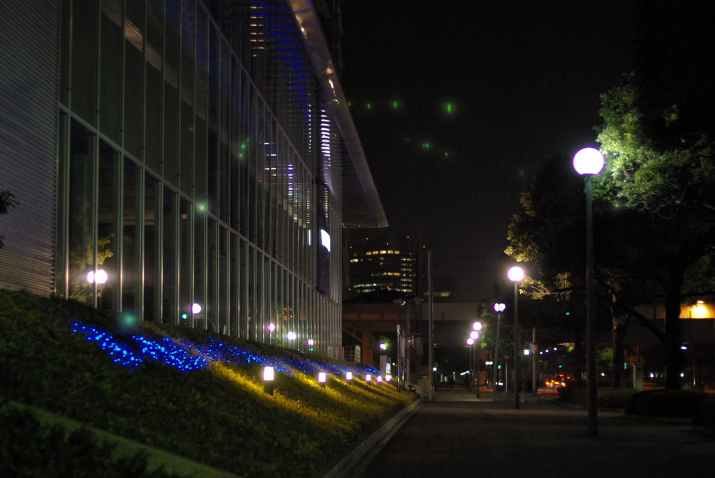 夜景