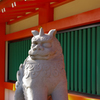 千葉神社の狛犬？