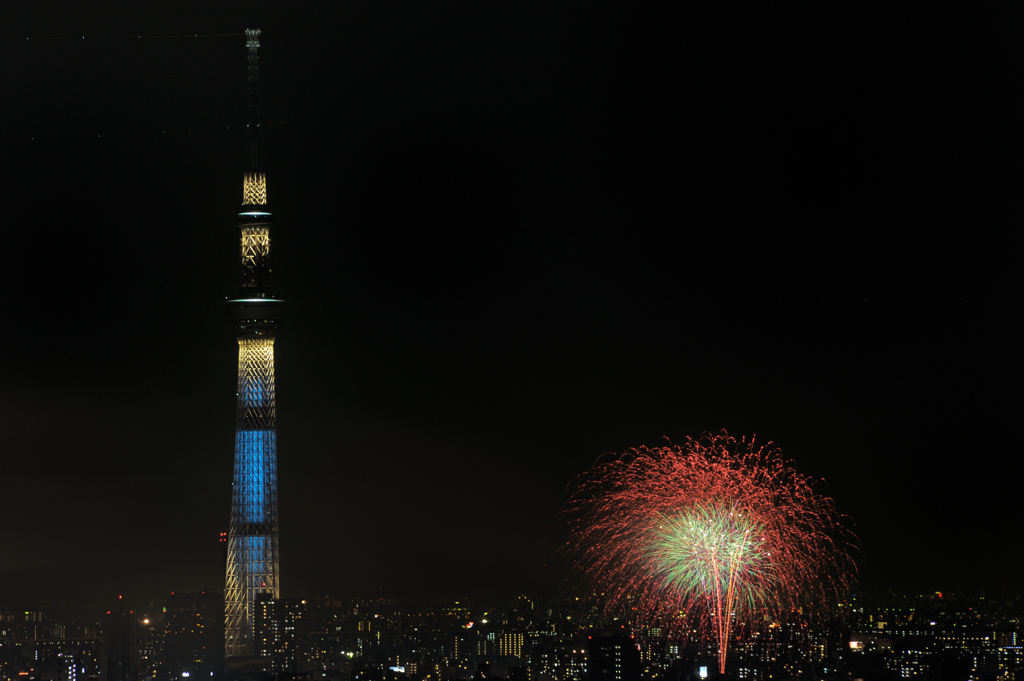 スカイツリーと花火