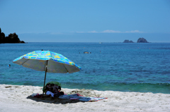 神津島の青い海