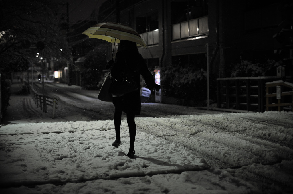 雪踏切