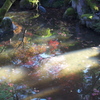 映りこみこそ全て
