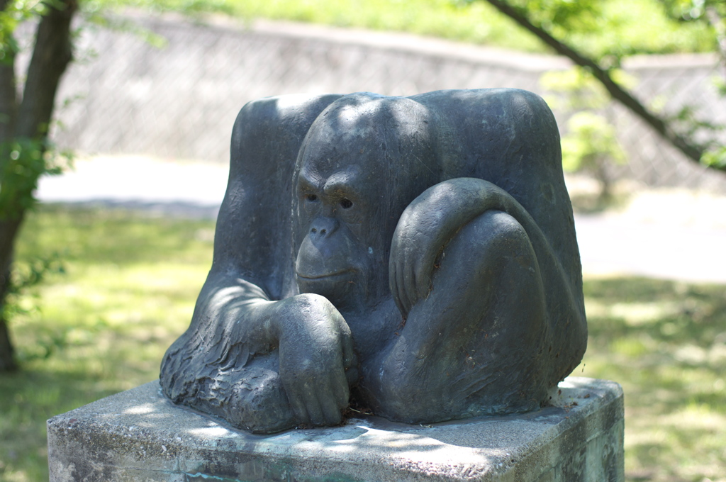 森の人