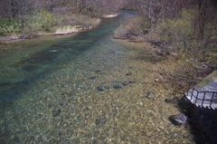 渓流の始まり