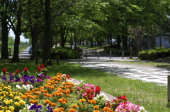 緑道(2)
