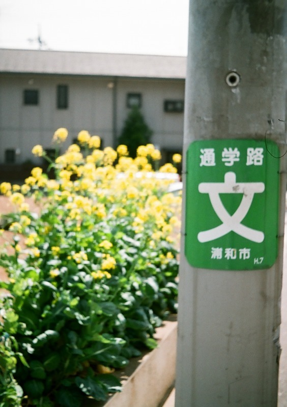 通学路で