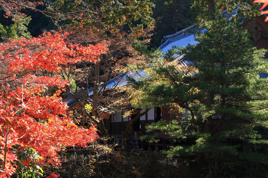 宝生寺