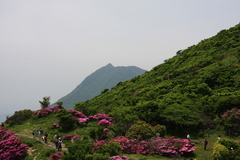 山