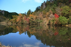 鶴ヶ原の池