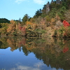 鶴ヶ原の池