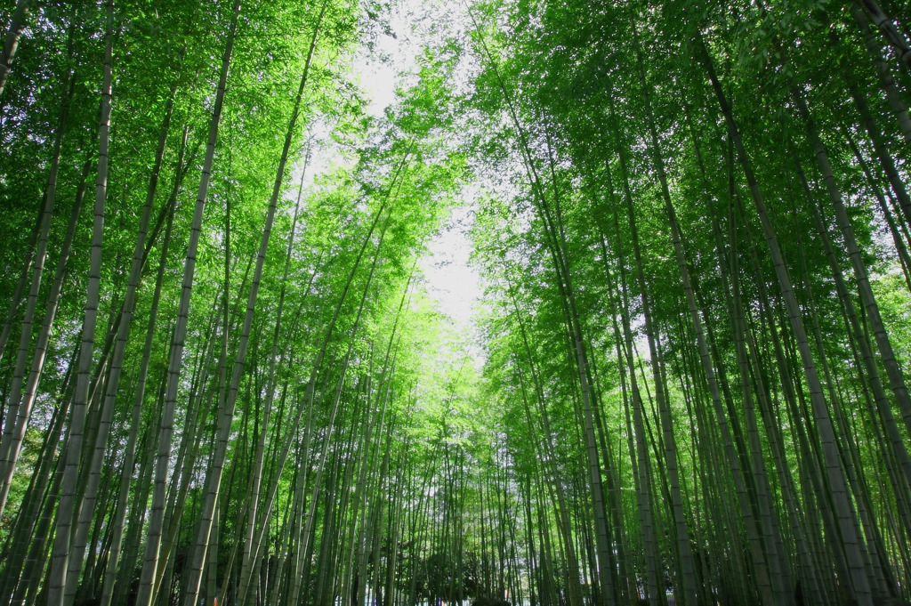 別府公園
