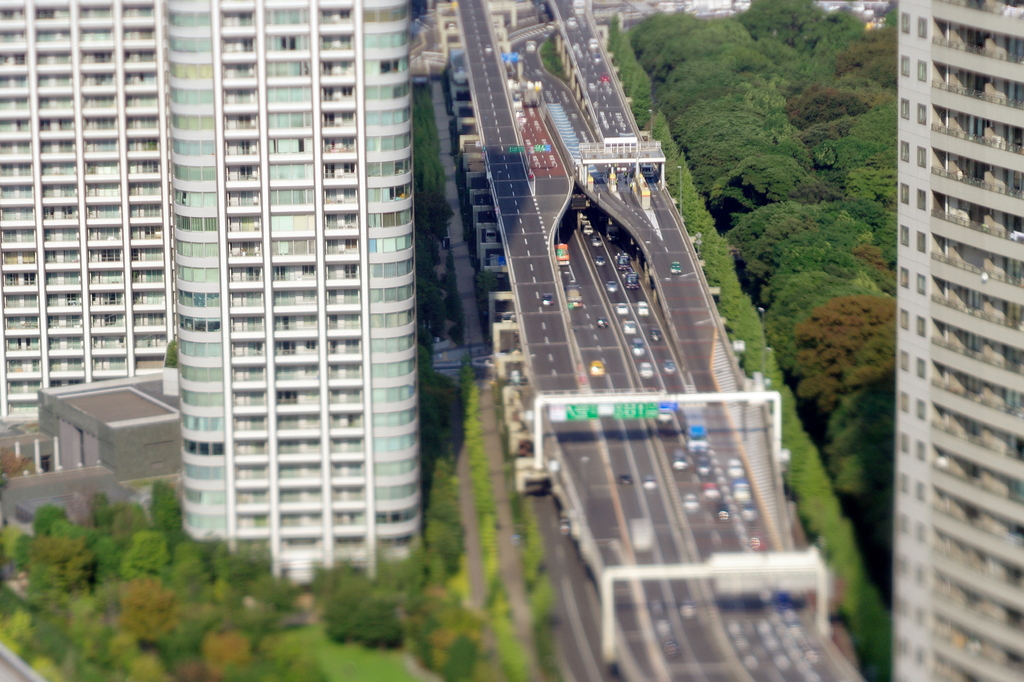 首都高