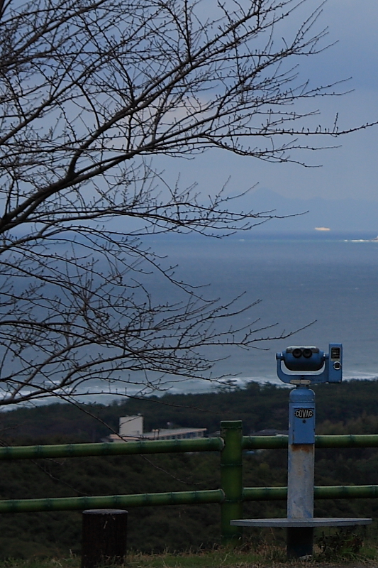 冬の海見る？