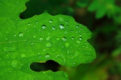 水滴
