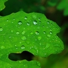 水滴