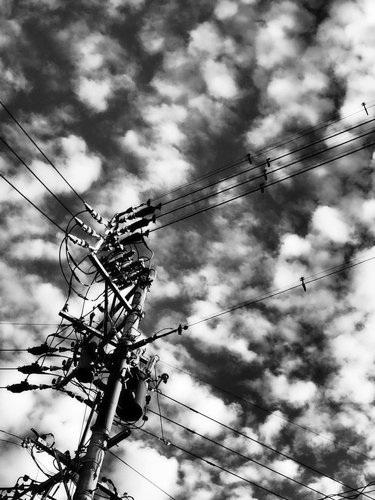 Monochrome ver.
