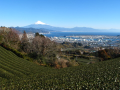 日本平より