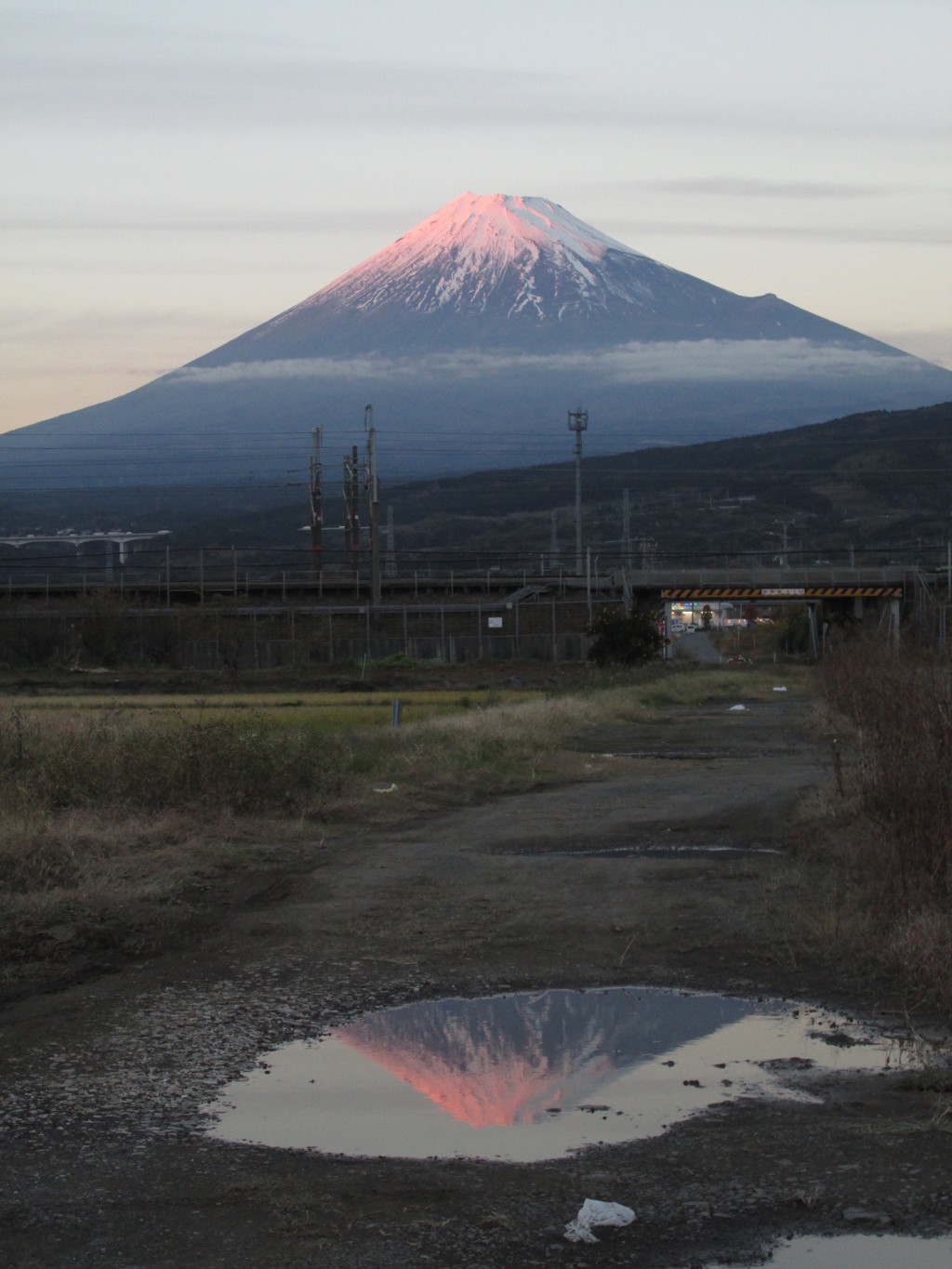 逆さに染まる